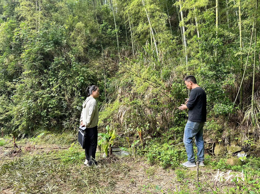 十都镇:深入基层送政策 高效服务解企忧