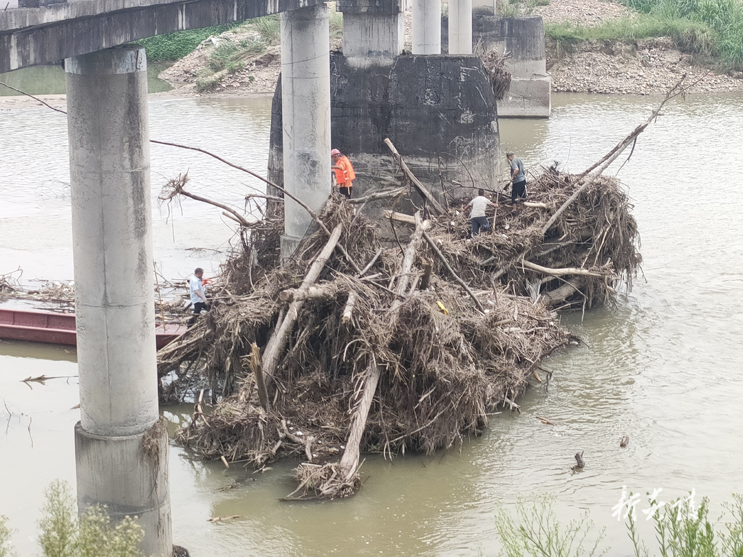 霞阳镇:清理行洪障碍物 焕活河道新颜