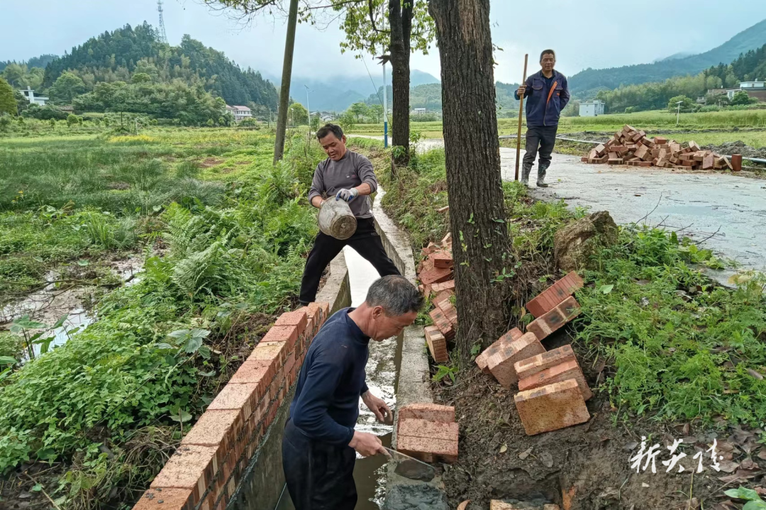 沔渡镇:绘就和美乡村新画卷