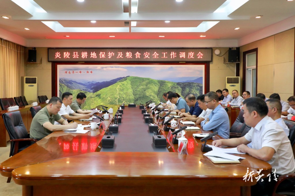 炎陵县召开耕地保护及粮食安全工作调度会