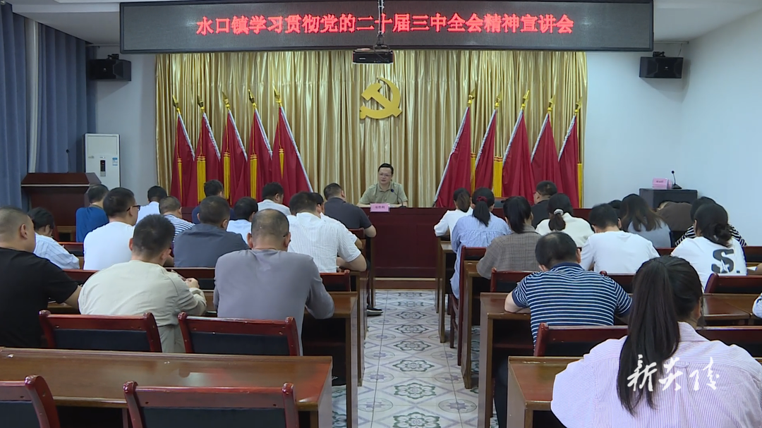 夏胜利赴水口镇宣讲党的二十届三中全会精神并开展国庆节前安全生产检查2