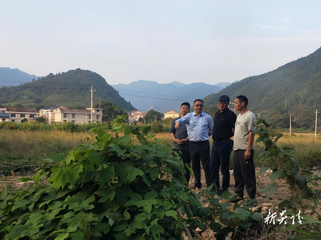 霞阳镇:全力推进耕地恢复 筑牢粮食安全屏障