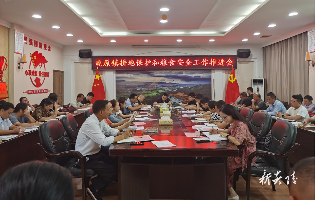 鹿原镇:严守耕地保护红线 全力推进耕地恢复