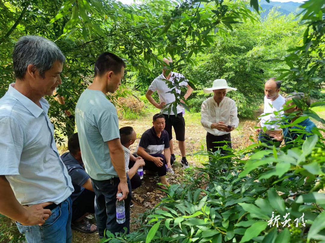 下村乡:党建引领促振兴 考察学习谋发展