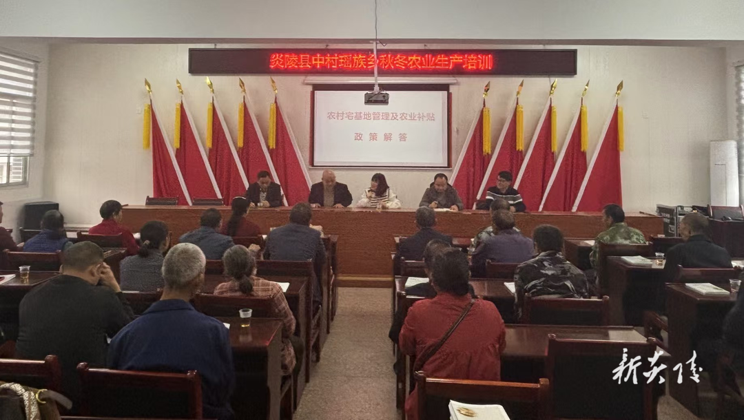 中村瑶族乡:专家送技下乡 农户喜获丰收新动力