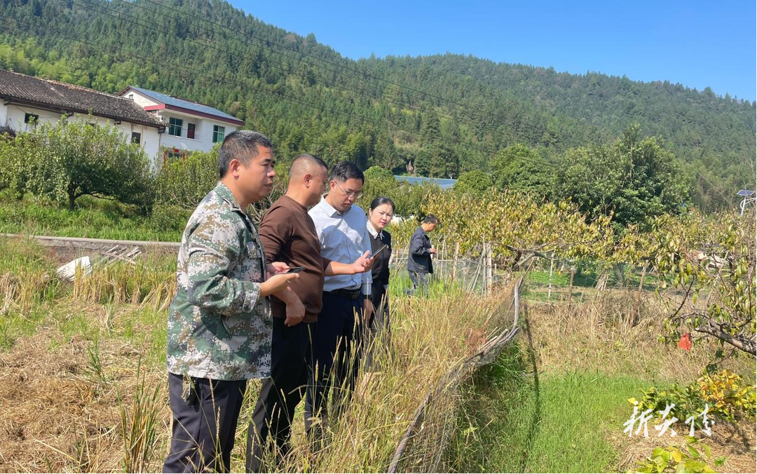 水口镇:全力以“复” 筑牢“耕”基护“粮”田