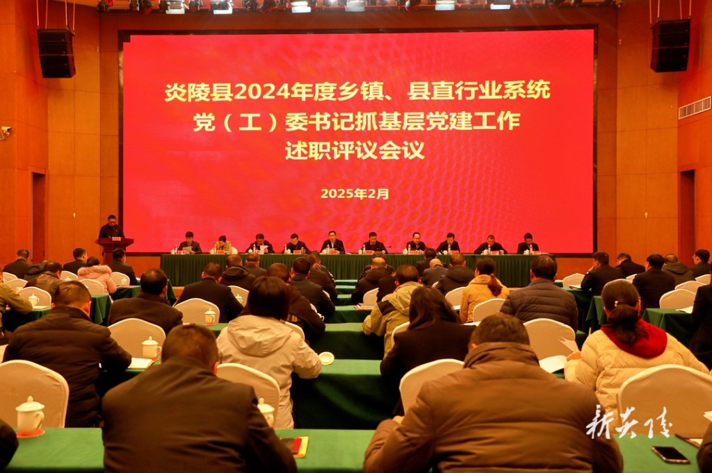 炎陵县2024年度乡镇、县直行业系统党(工)委书记抓基层党建工作述职评议会议召开