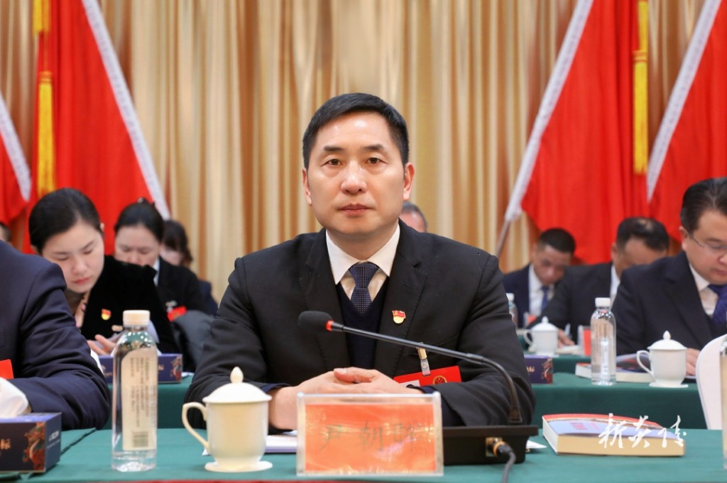 炎陵县第十八届人民代表大会第五次会议隆重开幕1