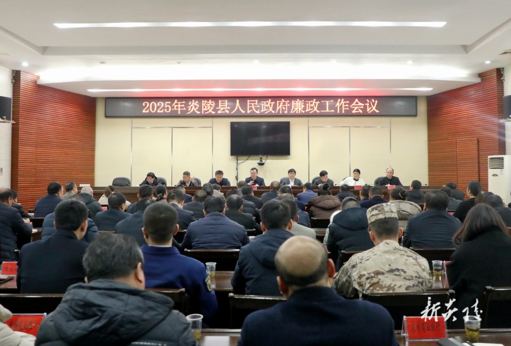 2025年县政府廉政工作会议召开