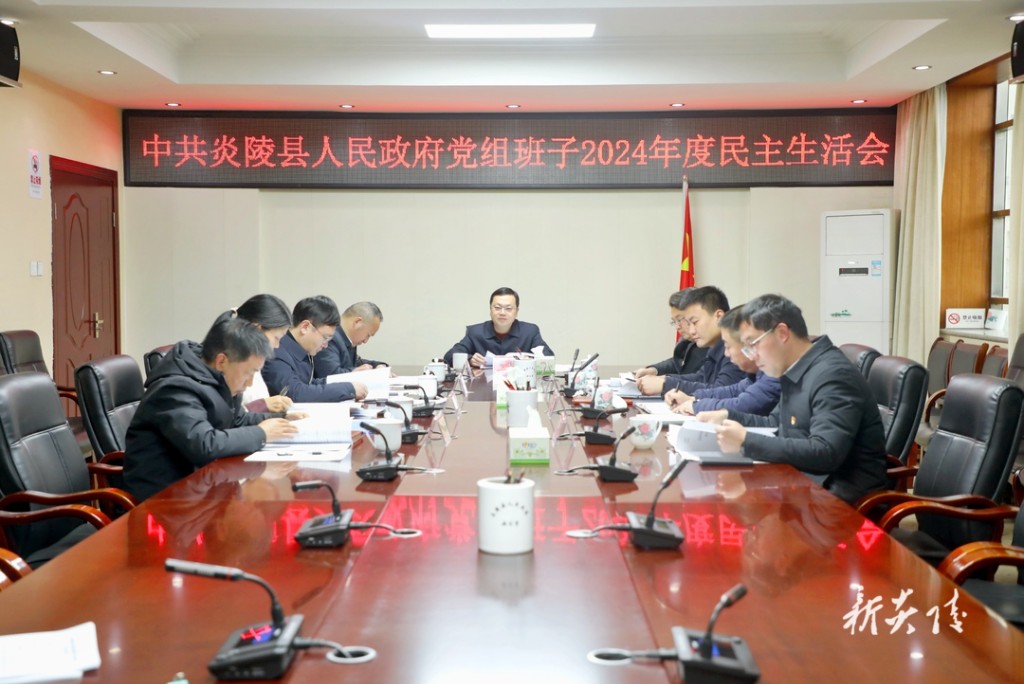 县政府党组召开2024年度民主生活会