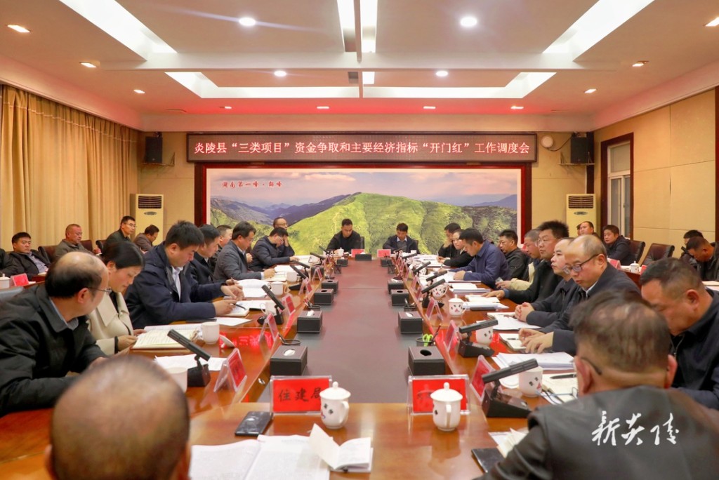 炎陵县“三类项目”资金争取和主要经济指标“开门红”工作调度会召开