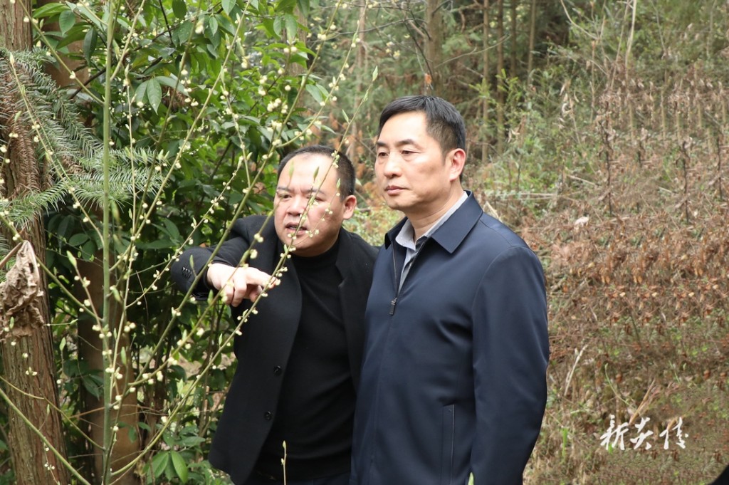 尹朝晖到湖南省麦芽药业有限公司调研