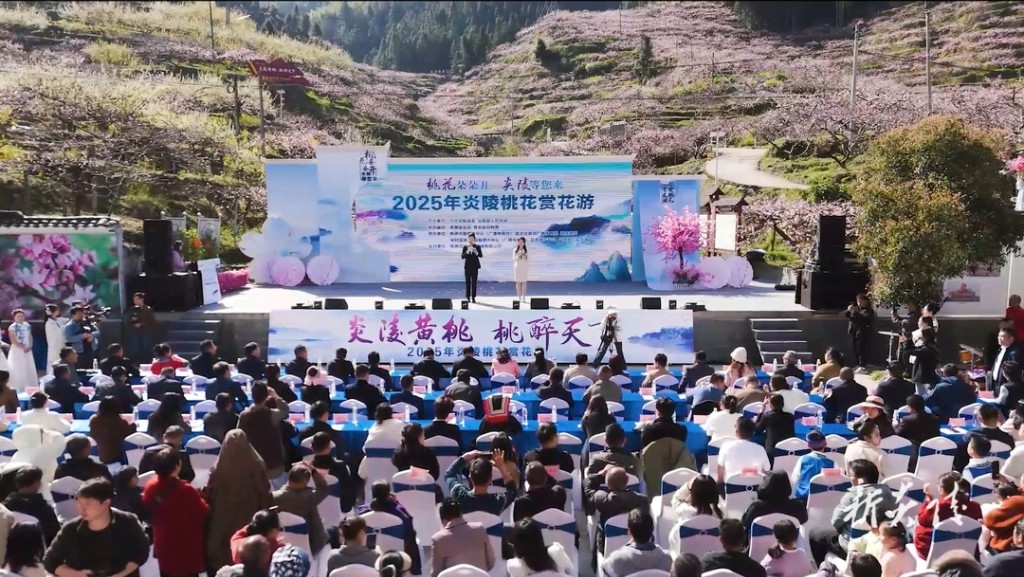 2025年炎陵桃花赏花游主题活动在中村瑶族乡开幕