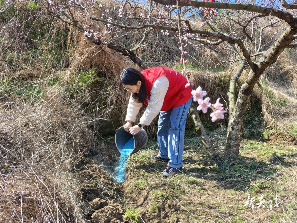垄溪乡:人大代表助力乡村振兴 田间地头践行为民初心