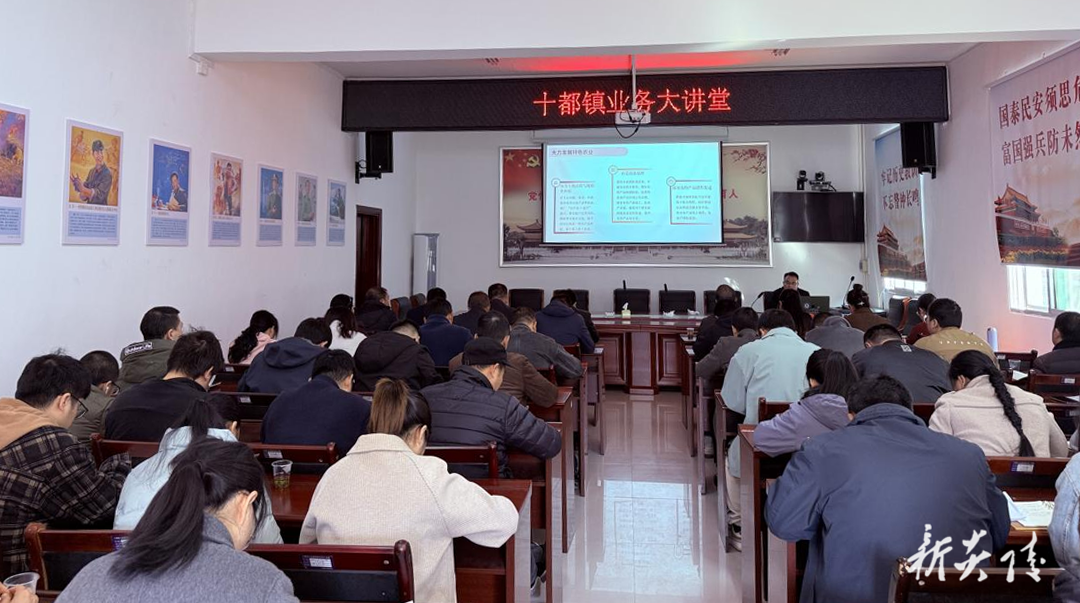 十都镇:举办业务大讲堂 以“三型三业三地”擘画高质量发展蓝图
