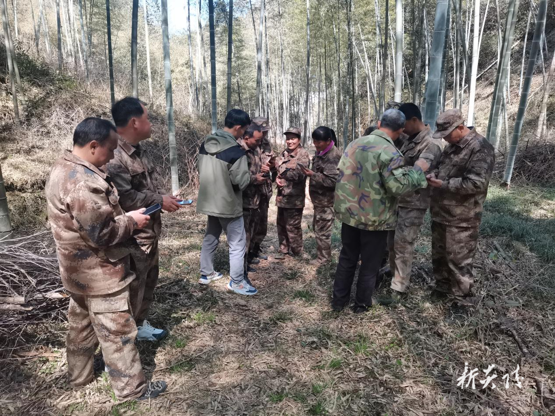 大院国有林场开展“131”机制培训演练