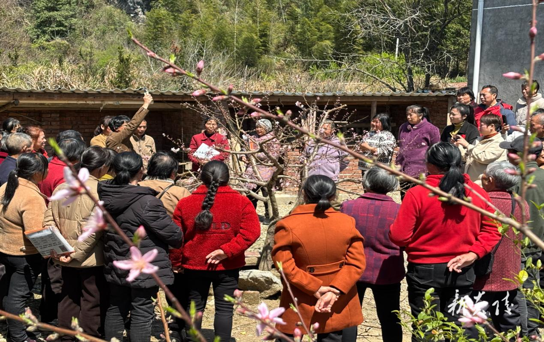 水口镇:技能培训送上门 乡村振兴添动能