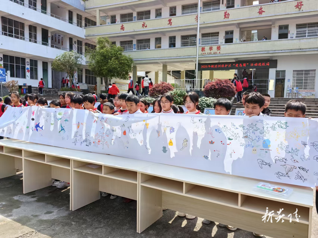 县林业局:爱鸟护鸟 共筑和谐