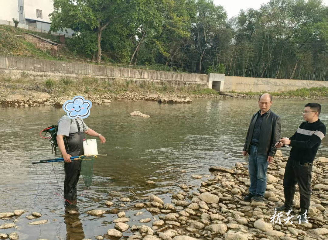 鹿原镇:打击非法捕捞 巩固水域治理成果