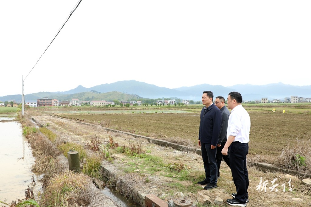 尹朝晖调研农业生产和春耕备耕工作1