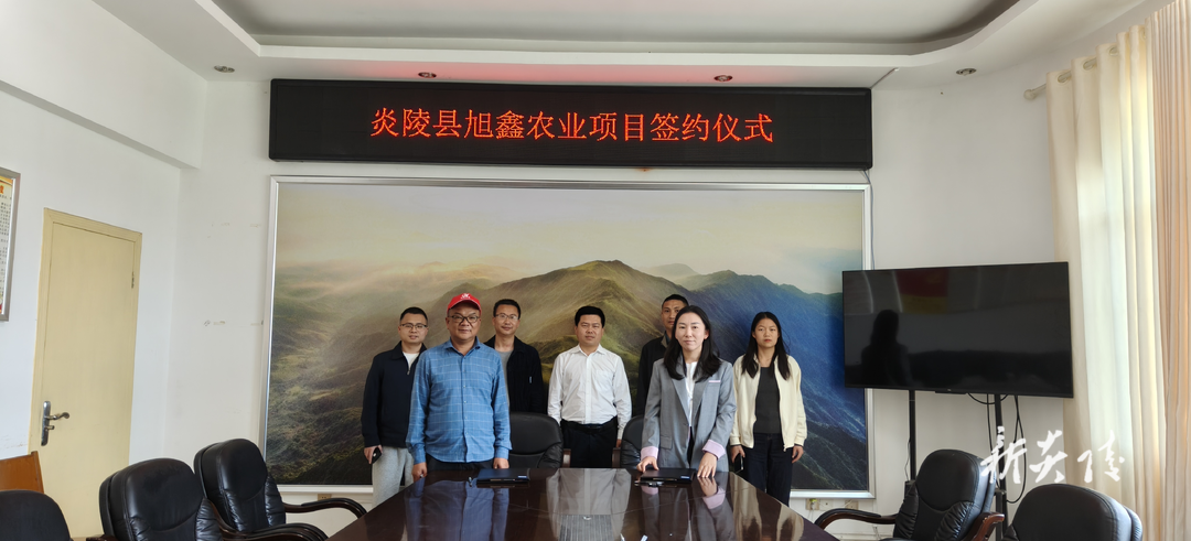 下村乡与旭鑫农业项目举行签约仪式