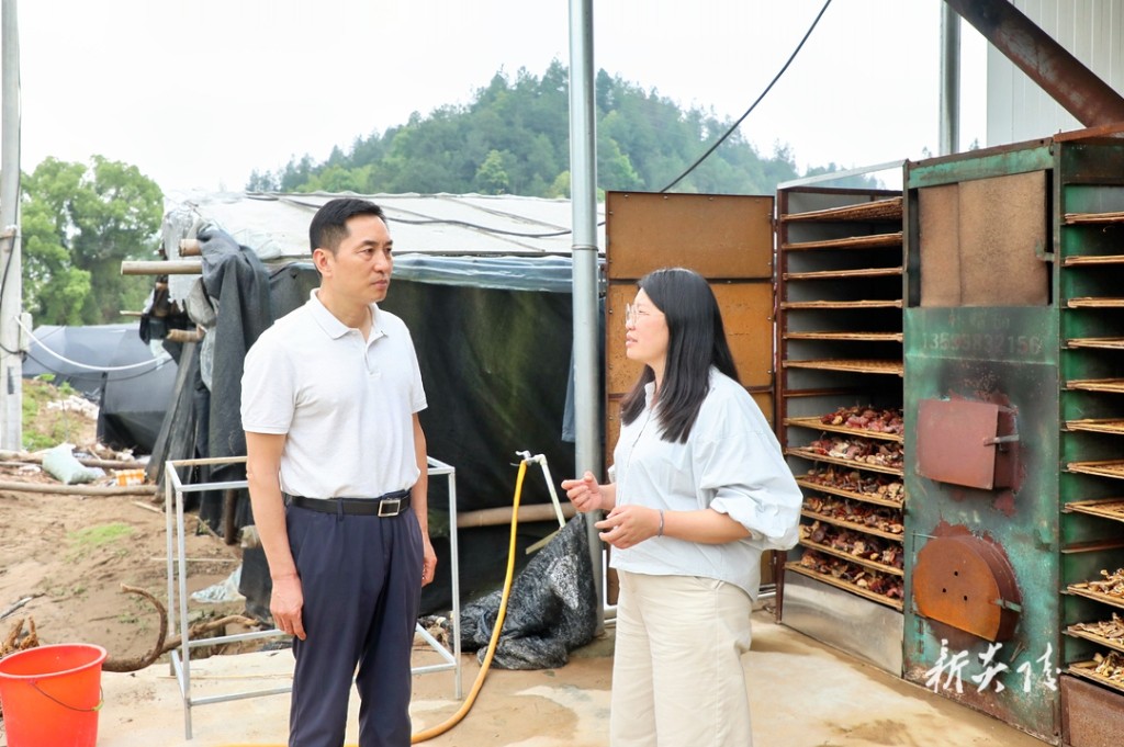 尹朝晖到部分乡镇调研防汛救灾工作1