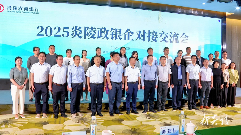 炎陵县举办2025年政银企对接交流会