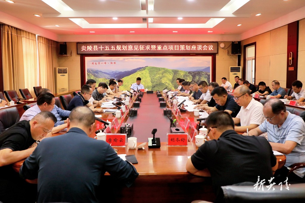 尹朝晖主持召开炎陵县“十五五”规划意见征求暨重点项目策划座谈会