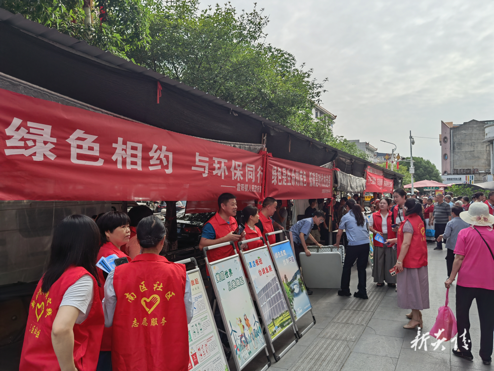 炎陵县组织开展六·五”环境日集中宣传活动(1)