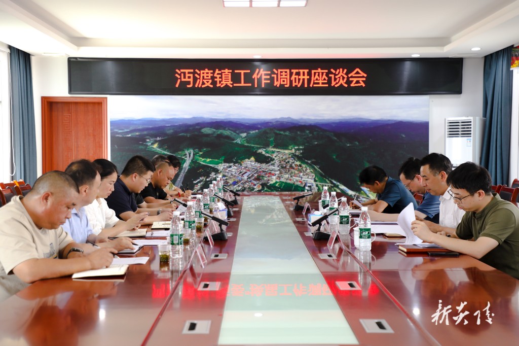 夏胜利在沔渡镇调研