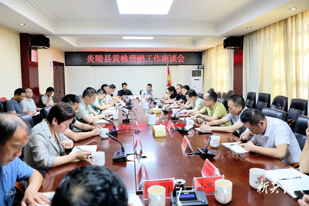 炎陵县召开炎陵黄桃营销工作座谈会