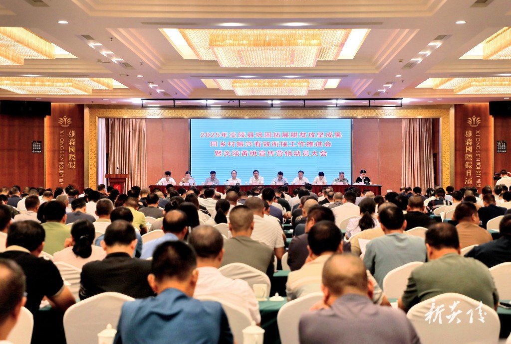 全县巩固拓展脱贫攻坚成果同乡村振兴有效衔接暨炎陵黄桃营销动员部署大会召开