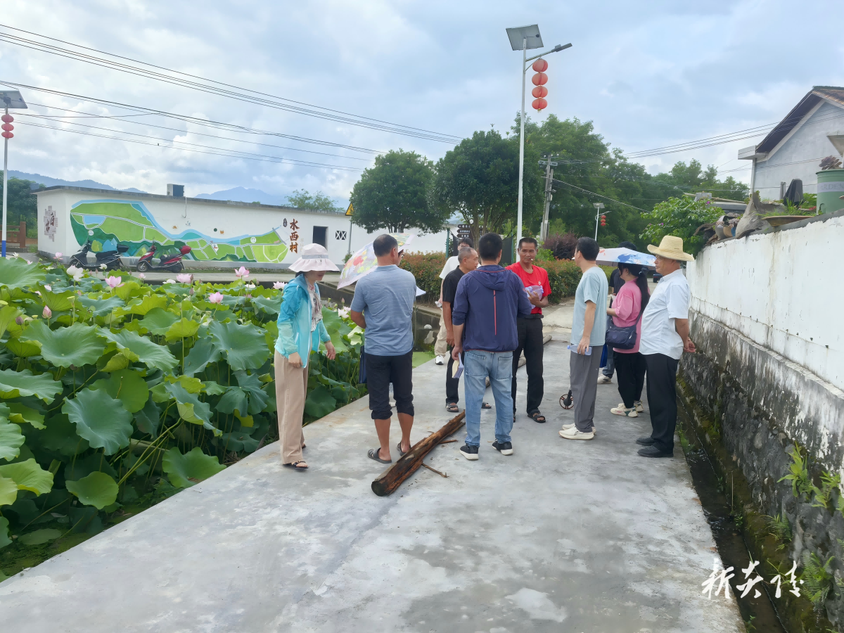 水口镇:代表当好“监督员” 实事结出“惠民果”(1)