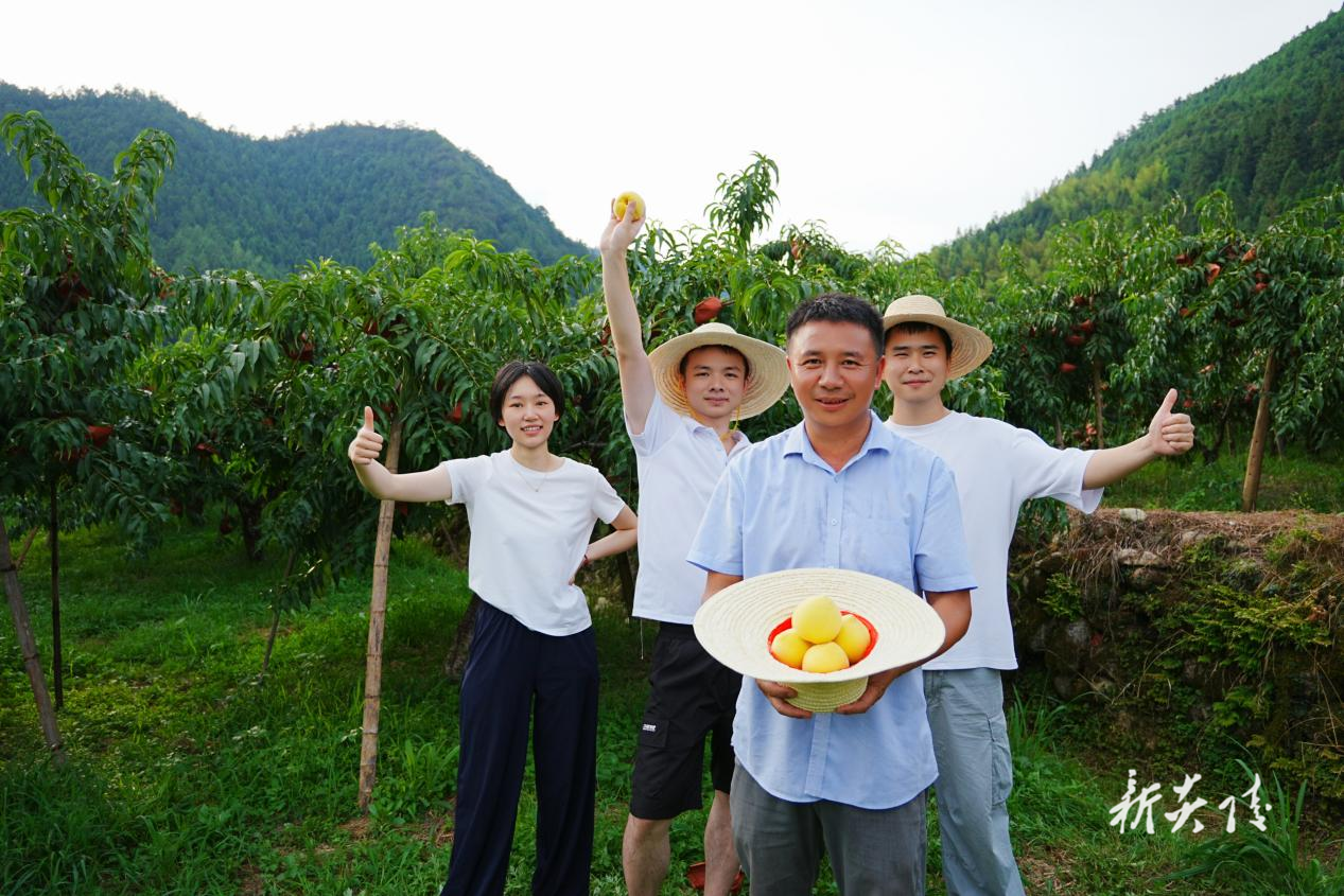 下村乡:“三力齐发”护航炎陵黄桃“甜蜜出山”1