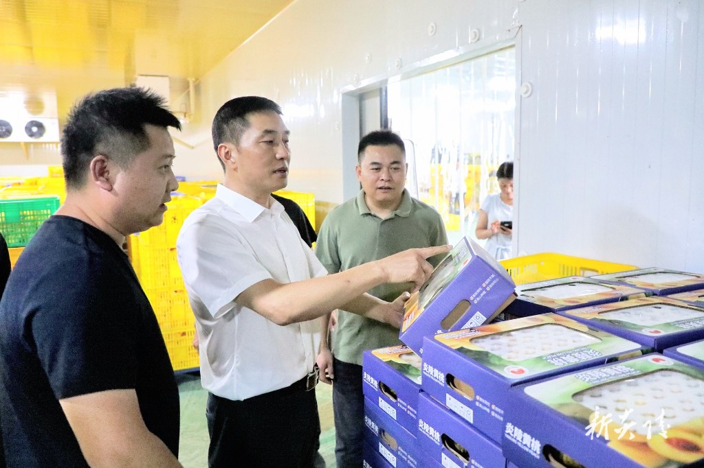 尹朝晖调研炎陵黄桃销售工作2