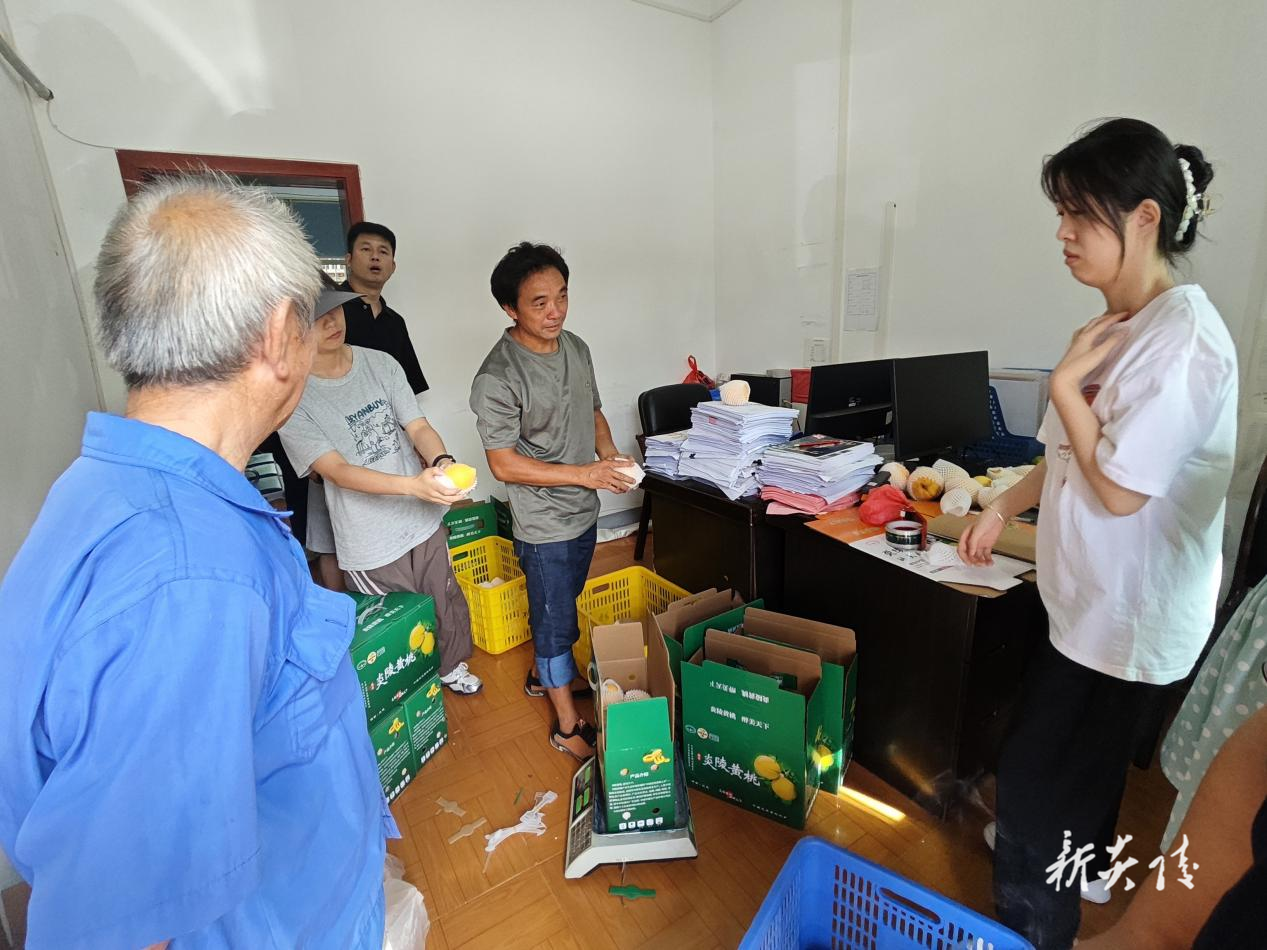 船形乡:以消费帮扶助力桃农增收