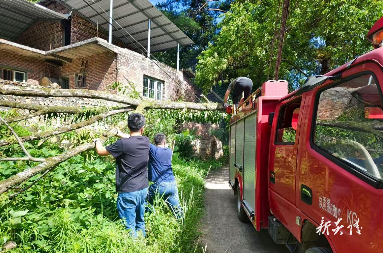 船形乡:齐心协力移倒树 清除路障解民忧