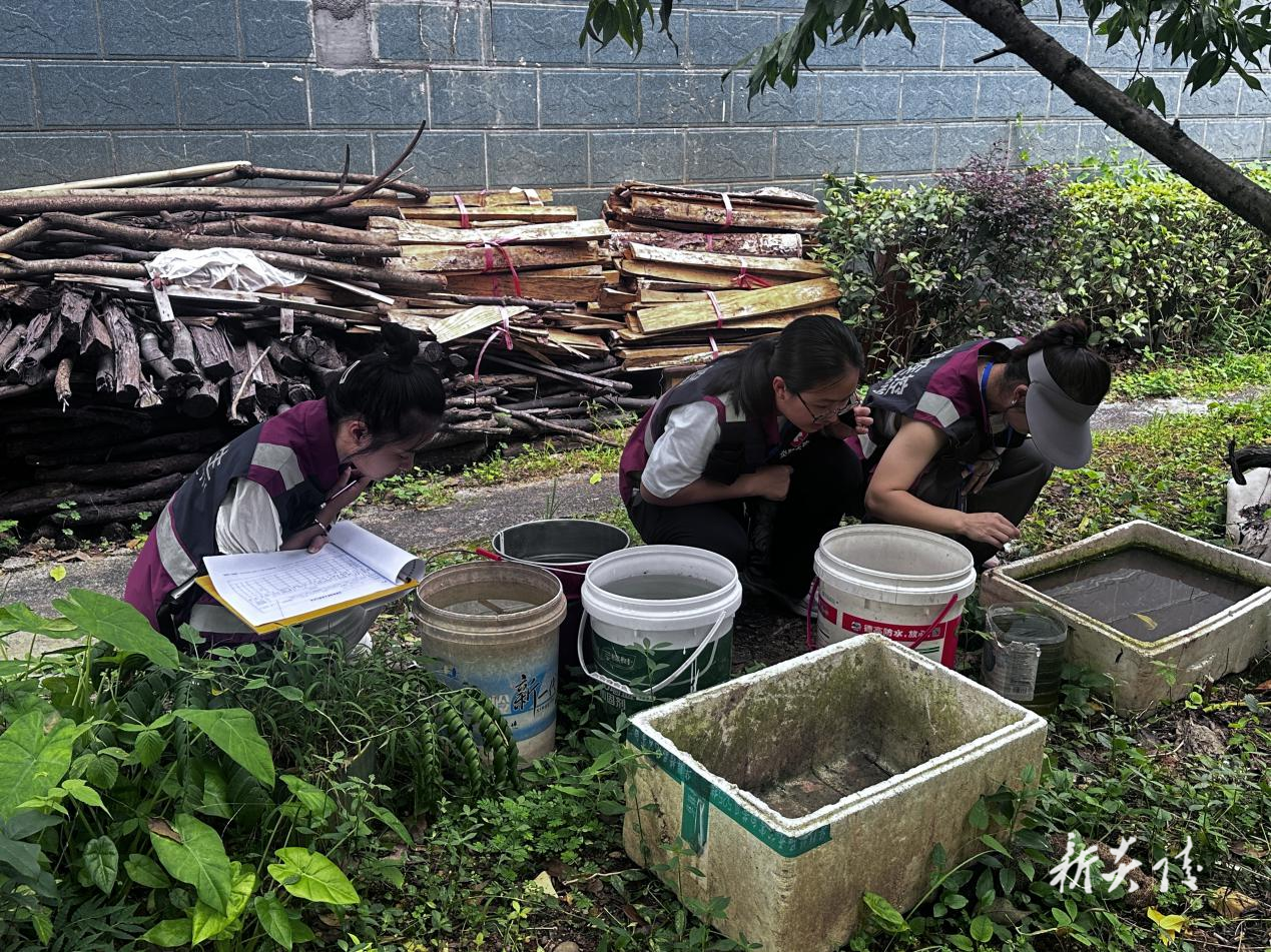 县疾控中心强化蚊媒监测 筑牢“两热”防控防线