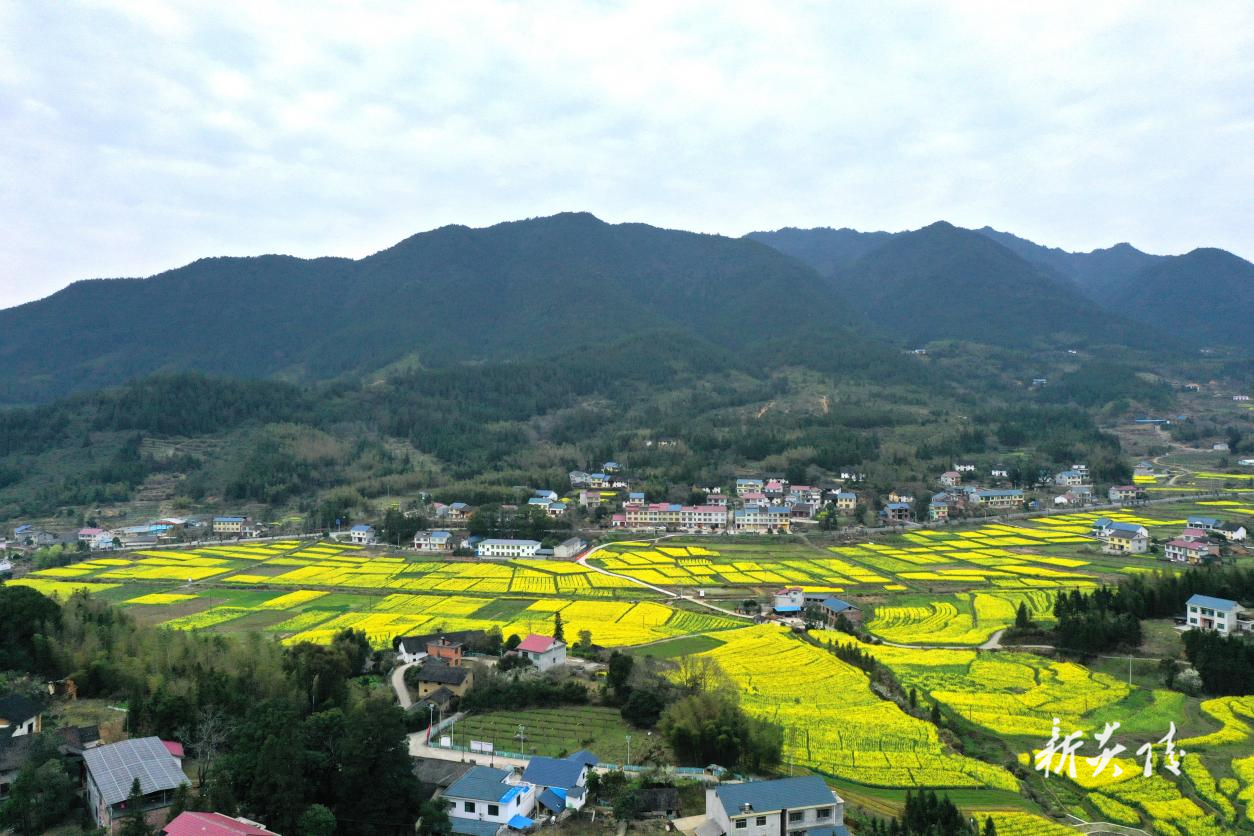 中村瑶族乡梅岗村入选2025年度省级美丽乡村重点建设村名单