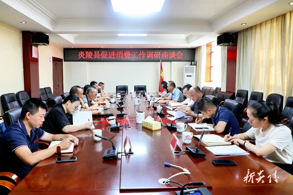 夏胜利调研促进消费工作33