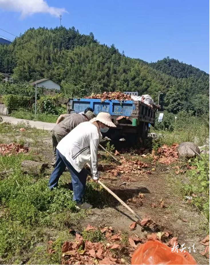 策源乡:黄桃季收官不“收尾” 洁净乡村守护不停歇