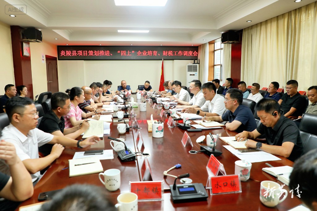 炎陵县召开项目策划推进、“四上”企业培育、财税工作调度会