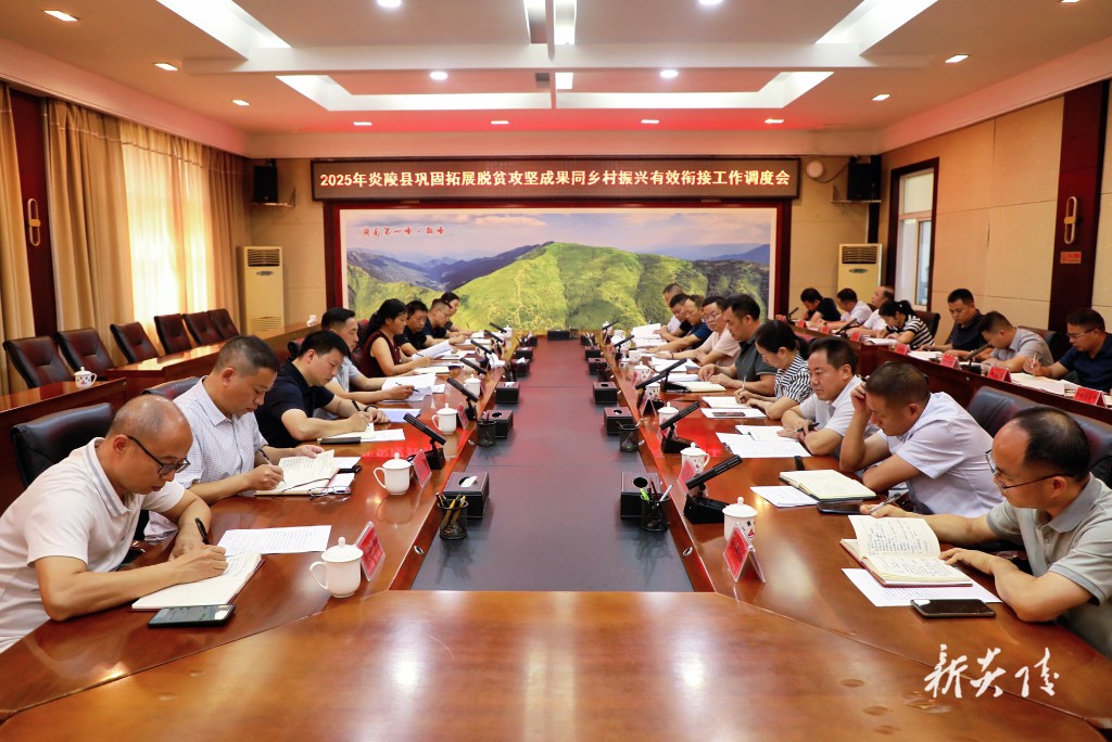 2025年炎陵县巩固拓展脱贫攻坚成果同乡村振兴有效衔接工作调度会召开