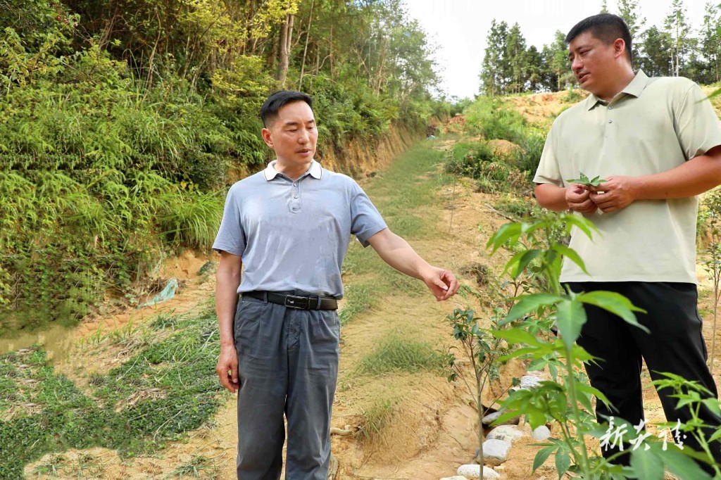 尹朝晖到部分乡镇调研6