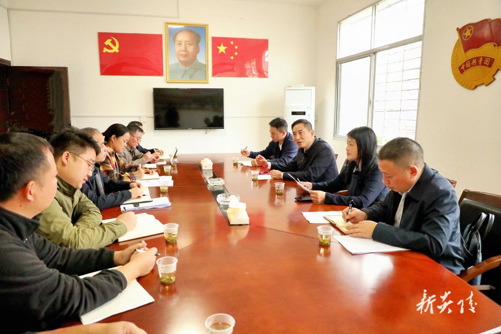 10.31尹朝晖调研乡村振兴工作