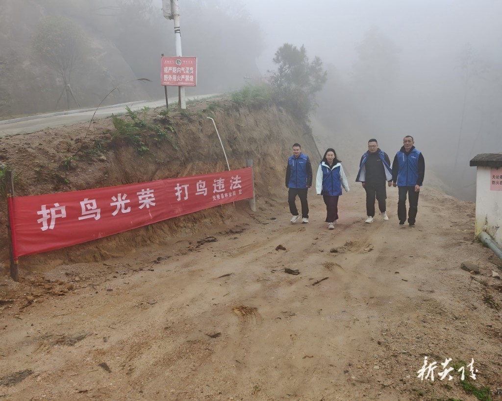 下村乡积极开展巡林护鸟行动