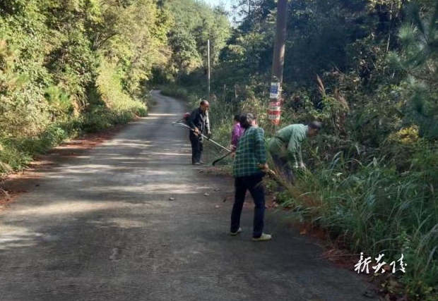 策源乡开展酃峰清洁工作 共护绿水青山