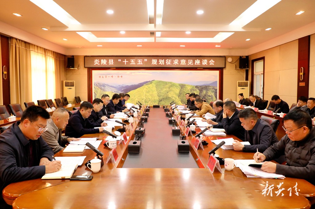 炎陵县“十五五”规划征求意见座谈会召开