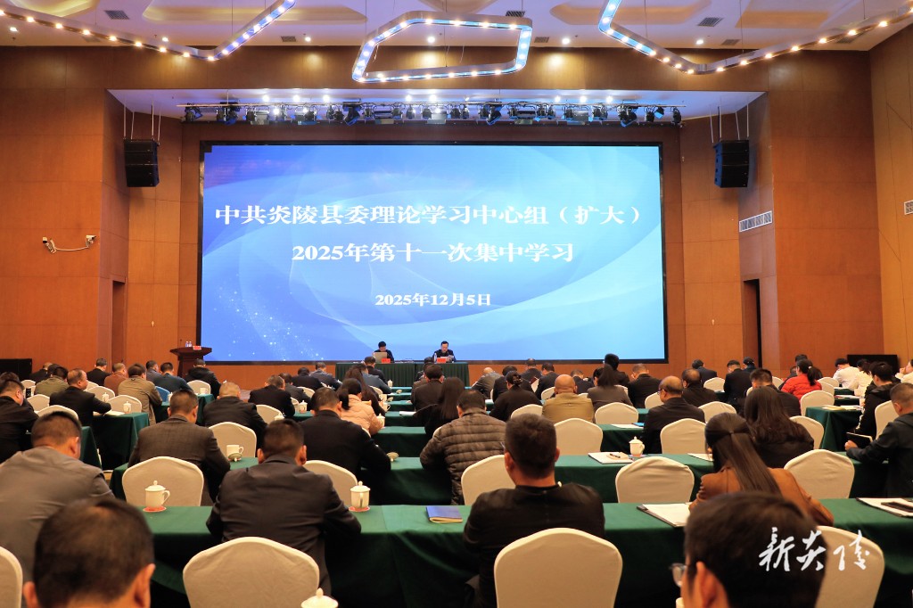 县委理论学习中心组(扩大)举行2025年第十一次集中学习