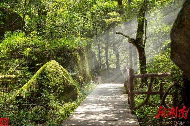 神农谷里享清凉